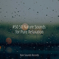 Thumbnail for the Meditation Spa - #50 50 Nature Sounds for Pure Relaxation link, provided by host site