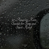 Thumbnail for the Ambient Music Therapy - 50 Amazing Rain Sounds for Sleep and Stress Relief link, provided by host site