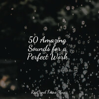 Thumbnail for the Meditative Music Guru - 50 Amazing Sounds for a Perfect Work link, provided by host site