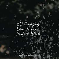 Thumbnail for the Meditative Music Guru - 50 Amazing Sounds for a Perfect Work link, provided by host site