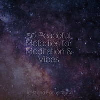 Thumbnail for the Deep Sleep Meditation - 50 Ambient Meditation Ambient Sounds link, provided by host site