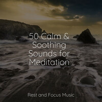 Thumbnail for the Ambiente - 50 Ambient Music Collection link, provided by host site