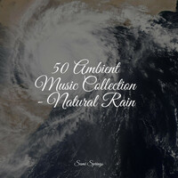 Thumbnail for the Sleep Music System - 50 Ambient Music Collection - Natural Rain link, provided by host site