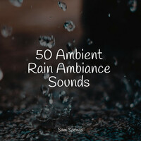 Thumbnail for the Entspannungsmusik - 50 Ambient Rain Ambiance Sounds link, provided by host site