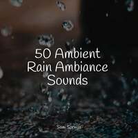 Thumbnail for the Entspannungsmusik - 50 Ambient Rain Ambiance Sounds link, provided by host site