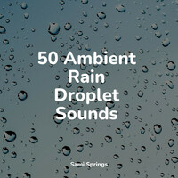 Thumbnail for the Sleep Music System - 50 Ambient Rain Droplet Sounds link, provided by host site