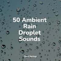 Thumbnail for the Sleep Music System - 50 Ambient Rain Droplet Sounds link, provided by host site