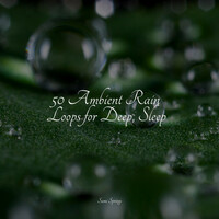Thumbnail for the Nature Sounds for Concentration - 50 Ambient Rain Loops for Deep, Sleep link, provided by host site
