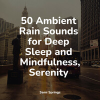 Thumbnail for the White Noise Sleep Sounds - 50 Ambient Rain Sounds for Deep Sleep and Mindfulness, Serenity link, provided by host site