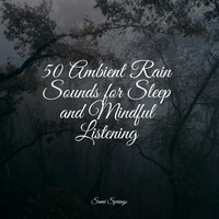 Thumbnail for the Meditation Spa - 50 Ambient Rain Sounds for Sleep and Mindful Listening link, provided by host site