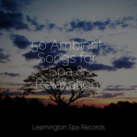 Thumbnail for the Sleep Songs 101 - 50 Ambient Songs for Spa & Relaxation link, provided by host site