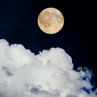 Thumbnail for the Meditation Spa - 50 Ambient Sounds for Sleep link, provided by host site