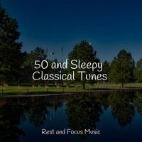 Thumbnail for the Zen Music Garden - 50 and Sleepy Classical Tunes link, provided by host site
