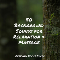 Thumbnail for the Pink Noise - 50 Background Sounds for Relaxation & Massage link, provided by host site