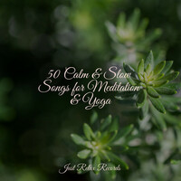 Thumbnail for the Meditation Spa - 50 Calm & Slow Songs for Meditation & Yoga link, provided by host site