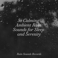 Thumbnail for the Meditation Spa - 50 Calming Ambient Rain Sounds for Sleep and Serenity link, provided by host site