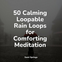 Thumbnail for the Spa & Spa - 50 Calming Loopable Rain Loops for Comforting Meditation link, provided by host site