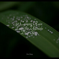Thumbnail for the Regen - 50 Calming Rain Loops for Ultimate Deep Sleep link, provided by host site