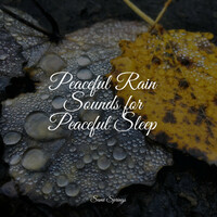 Thumbnail for the Sleep Music System - 50 Calming Rain Sounds for Meditation and Sleep link, provided by host site