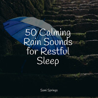 Thumbnail for the Massage Tribe - 50 Calming Rain Sounds for Restful Sleep link, provided by host site