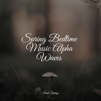 Thumbnail for the Relaxing Nature Ambience - 50 Calming Rain Sounds for Yoga link, provided by host site