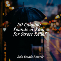 Thumbnail for the Yoga - 50 Calming Sounds of Rain for Stress Relief link, provided by host site