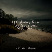 Thumbnail for the Yoga - 50 Calming Tones for Peace and Meditation link, provided by host site