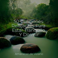 Thumbnail for the Meditation Spa - 50 Canciones Relajantes Para Estar Tranquilo Y Dormir link, provided by host site