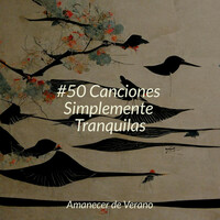 Thumbnail for the Meditation Spa - #50 Canciones Simplemente Tranquilas link, provided by host site