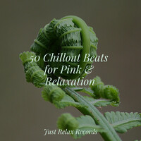 Thumbnail for the Meditation Spa - 50 Chillout Beats for Pink & Relaxation link, provided by host site