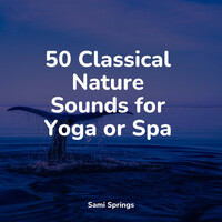 Thumbnail for the Binaural Beats Brain Waves Isochronic Tones Brain Wave Entertainment - 50 Classical Nature Sounds for Yoga or Spa link, provided by host site