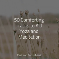 Thumbnail for the Yoga Soul - 50 Comforting Tracks to Aid Yoga and Meditation link, provided by host site