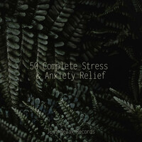 Thumbnail for the Meditation Spa - 50 Complete Stress & Anxiety Relief link, provided by host site