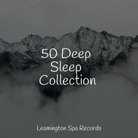 Thumbnail for the Nature Sounds for Sleep and Relaxation - 50 Deep Sleep Collection link, provided by host site