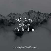 Thumbnail for the Nature Sounds for Sleep and Relaxation - 50 Deep Sleep Collection link, provided by host site