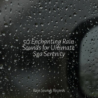 Thumbnail for the Meditation Spa - 50 Enchanting Rain Sounds for Ultimate Spa Serenity link, provided by host site