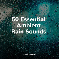 Thumbnail for the 125 Nature Sounds - 50 Essential Ambient Rain Sounds link, provided by host site