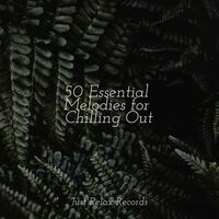 Thumbnail for the Meditation Spa - 50 Essential Melodies for Chilling Out link, provided by host site