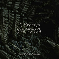 Thumbnail for the Meditation Spa - 50 Essential Melodies for Chilling Out link, provided by host site