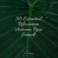 Thumbnail for the Música relaxante - 50 Essential Relaxation Autumn Rain Sounds link, provided by host site