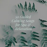 Thumbnail for the Meditation Spa - 50 Guided Calming Songs for Spa & Relaxation link, provided by host site