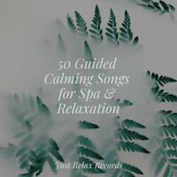 Thumbnail for the Meditation Spa - 50 Guided Calming Songs for Spa & Relaxation link, provided by host site