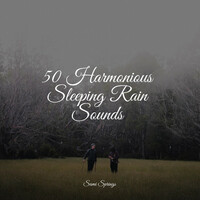Thumbnail for the Echoes Of Nature - 50 Harmonious Sleeping Rain Sounds link, provided by host site
