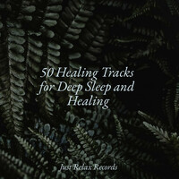 Thumbnail for the Meditation Spa - 50 Healing Tracks for Deep Sleep and Healing link, provided by host site