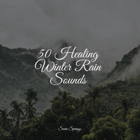 Thumbnail for the Relaxing Spa Music - 50 Healing Winter Rain Sounds link, provided by host site