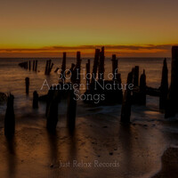 Thumbnail for the Meditation Spa - 50 Hour of Ambient Nature Songs link, provided by host site