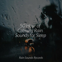 Thumbnail for the Yoga - 50 Hour of Calming Rain Sounds for Sleep link, provided by host site