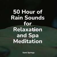 Thumbnail for the Echoes Of Nature - 50 Hour of Rain Sounds for Relaxation and Spa Meditation link, provided by host site