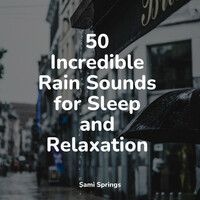 Thumbnail for the Sleep Rain - 50 Incredible Rain Sounds for Sleep and Relaxation link, provided by host site