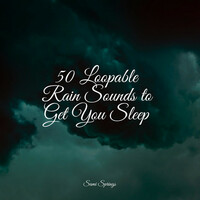 Thumbnail for the Nature Sounds Nature Music - 50 Loopable Rain Sounds to Get You Sleep link, provided by host site